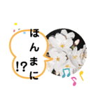 たけしのスタンプ その20（個別スタンプ：13）