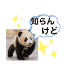 たけしのスタンプ その20（個別スタンプ：15）