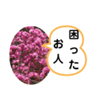 たけしのスタンプ その20（個別スタンプ：17）