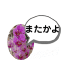 たけしのスタンプ その20（個別スタンプ：18）