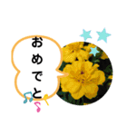 たけしのスタンプ その20（個別スタンプ：19）