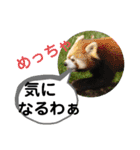 たけしのスタンプ その20（個別スタンプ：20）