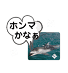 たけしのスタンプ その20（個別スタンプ：22）