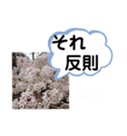 たけしのスタンプ その20（個別スタンプ：23）