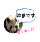 たけしのスタンプ その20（個別スタンプ：24）