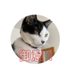 茶太郎とみい子2（個別スタンプ：3）
