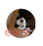 茶太郎とみい子2（個別スタンプ：11）