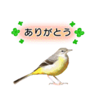 いろんな野鳥2（個別スタンプ：8）