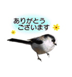いろんな野鳥2（個別スタンプ：9）