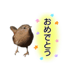 いろんな野鳥2（個別スタンプ：28）