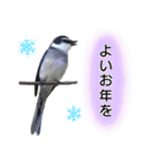 いろんな野鳥2（個別スタンプ：39）