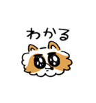 ゆかいなたぬき。（個別スタンプ：15）