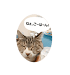 みやちびDX（個別スタンプ：8）