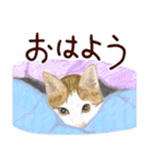 猫の楽しい仲間たち（個別スタンプ：2）