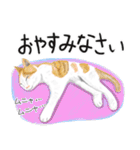 猫の楽しい仲間たち（個別スタンプ：5）