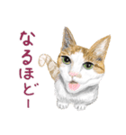 猫の楽しい仲間たち（個別スタンプ：15）