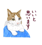 猫の楽しい仲間たち（個別スタンプ：16）