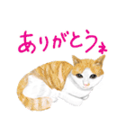 猫の楽しい仲間たち（個別スタンプ：18）