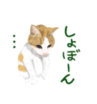 猫の楽しい仲間たち（個別スタンプ：20）