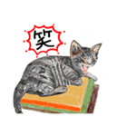 猫の楽しい仲間たち（個別スタンプ：26）