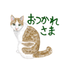 猫の楽しい仲間たち（個別スタンプ：27）