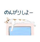 猫の楽しい仲間たち（個別スタンプ：30）