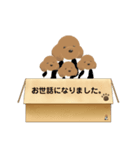 トイプのあられんスタンプ④（個別スタンプ：17）