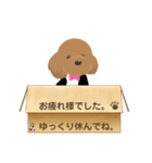 トイプのあられんスタンプ④（個別スタンプ：19）