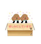 トイプのあられんスタンプ④（個別スタンプ：24）