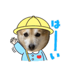 あきまろんがよく使うスタンプ（個別スタンプ：4）