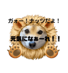 あきまろんがよく使うスタンプ（個別スタンプ：12）