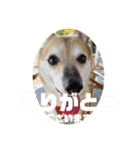 あきまろんがよく使うスタンプ（個別スタンプ：18）