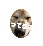 あきまろんがよく使うスタンプ（個別スタンプ：39）