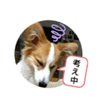 うめさんとお話し（個別スタンプ：2）
