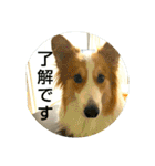 うめさんとお話し（個別スタンプ：4）