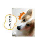 うめさんとお話し（個別スタンプ：5）