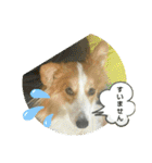 うめさんとお話し（個別スタンプ：6）