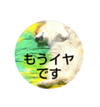 うめさんとお話し（個別スタンプ：8）
