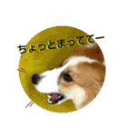 うめさんとお話し（個別スタンプ：10）