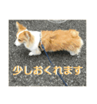 うめさんとお話し（個別スタンプ：12）