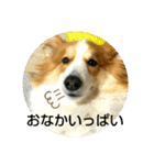 うめさんとお話し（個別スタンプ：13）