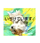 うめさんとお話し（個別スタンプ：14）