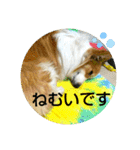 うめさんとお話し（個別スタンプ：16）