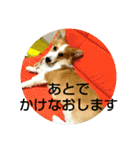 うめさんとお話し（個別スタンプ：17）