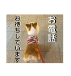 うめさんとお話し（個別スタンプ：18）