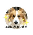 うめさんとお話し（個別スタンプ：19）