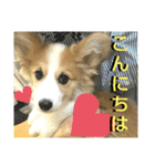 うめさんとお話し（個別スタンプ：20）