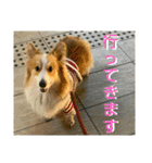 うめさんとお話し（個別スタンプ：22）