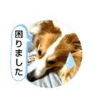 うめさんとお話し（個別スタンプ：23）