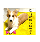 うめさんとお話し（個別スタンプ：24）